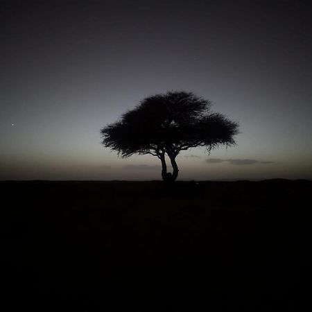 Отель Mhamid Sahara Camp - Mhamid El Ghizlane Мхамид Экстерьер фото